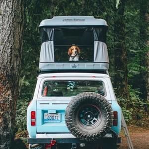 Meet your Posher, Harper